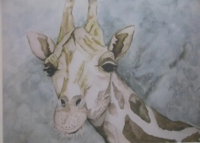 Im Froschhaus Mit Fruehstueckskuechen